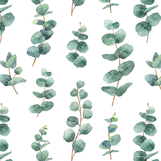 Eucalyptus