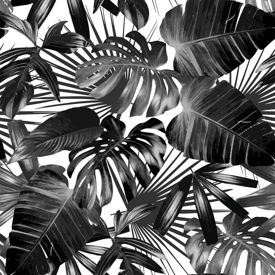 Black & White Tropical Palm Trees