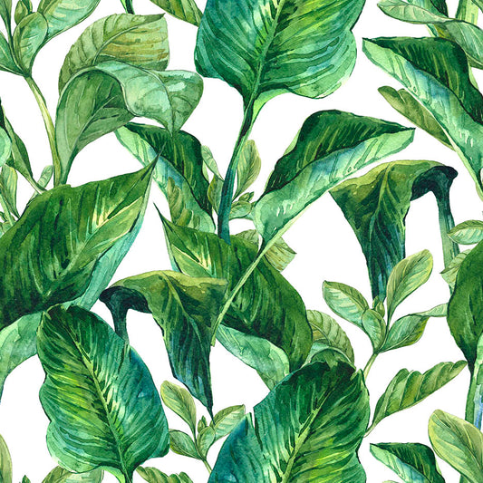 Watercolor Banana Leaves