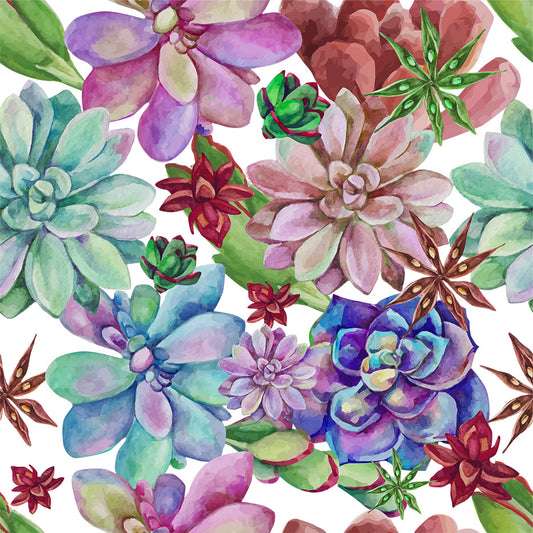 Watercolor Succulents