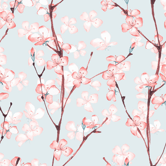 Cherry Blossoms